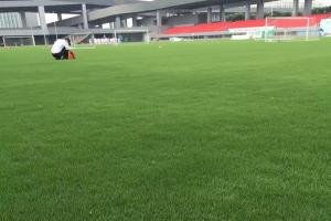 狗牙根和什么草混播比較好-狗牙根和什么草混播